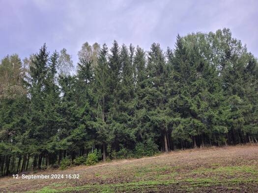 Grundstück zum Kauf provisionsfrei 103.500 € 30.300 m² Grundstück Hebanz Hebanz Marktleuthen 95168