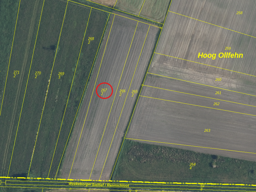 Land-/Forstwirtschaft zum Kauf provisionsfrei 15.000 € 3.546 m² Grundstück Leeg Ollfehn Steenfelde Westoverledingen 26810
