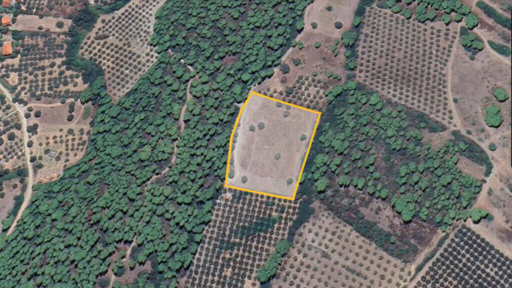 Land-/Forstwirtschaft zum Kauf 160.000 € 10.000 m² Grundstück Chalkidiki