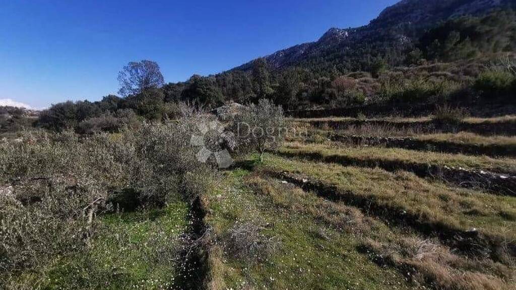 Land-/Forstwirtschaft zum Kauf 960.000 € Hvar