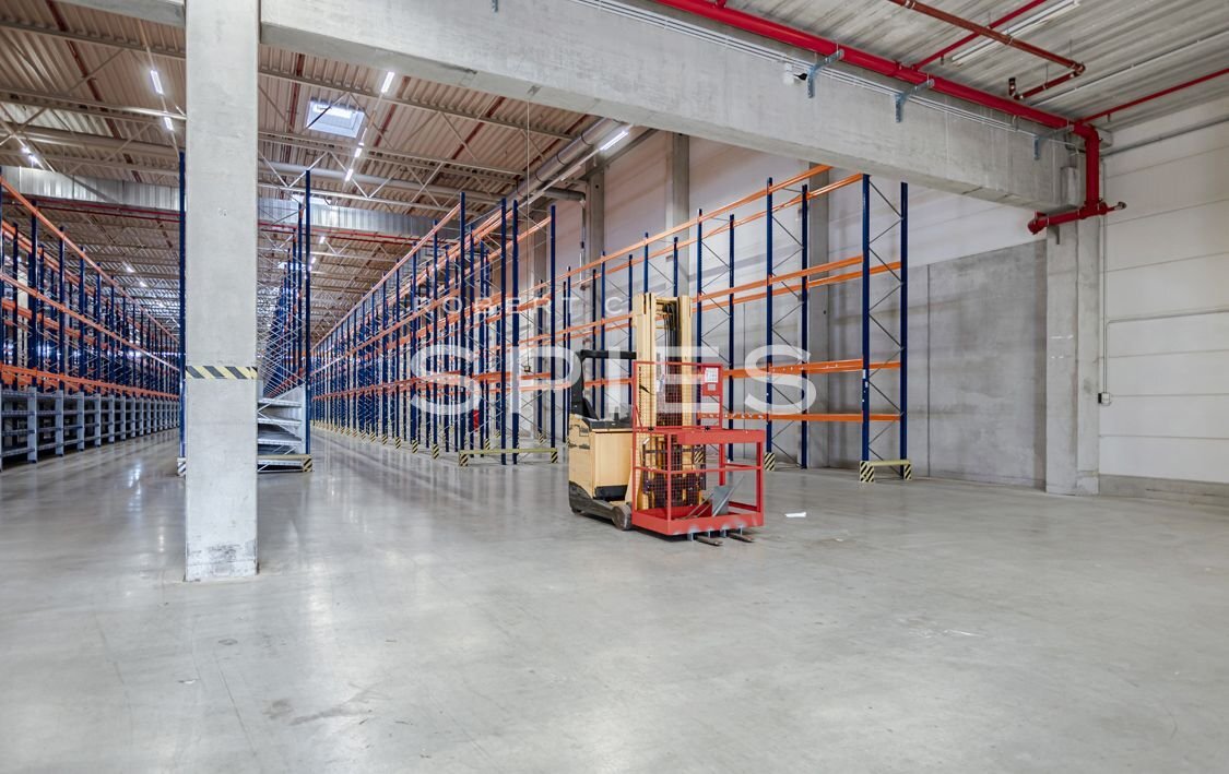 Logistikzentrum zur Miete provisionsfrei 5,30 € 3.500 m²<br/>Lagerfläche ab 1.000 m²<br/>Teilbarkeit Dreye Weyhe 28844