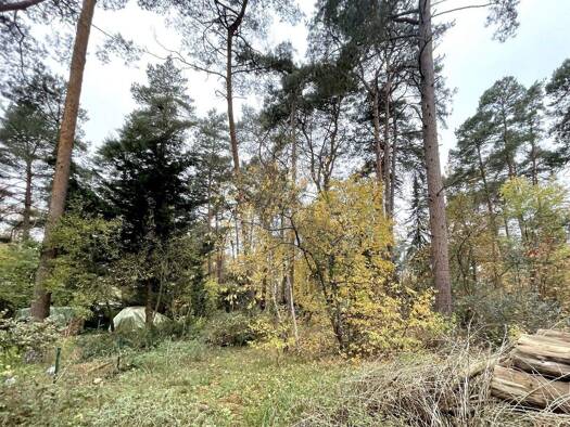 Grundstück zum Kauf 199.000 € 1.301 m² Grundstück Gifhorn 38518