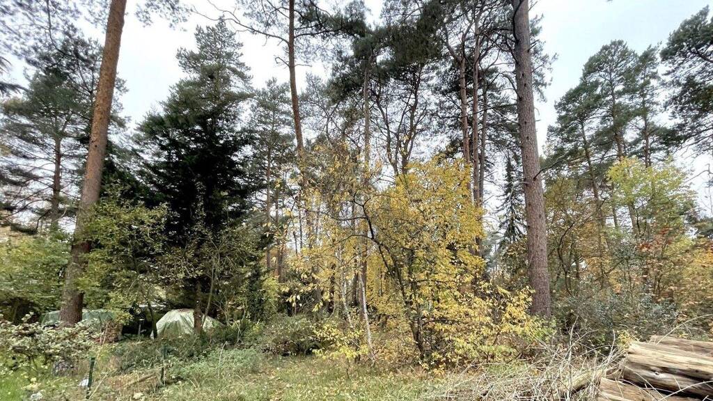 Grundstück zum Kauf 199.000 € 1.301 m² Grundstück Gifhorn 38518