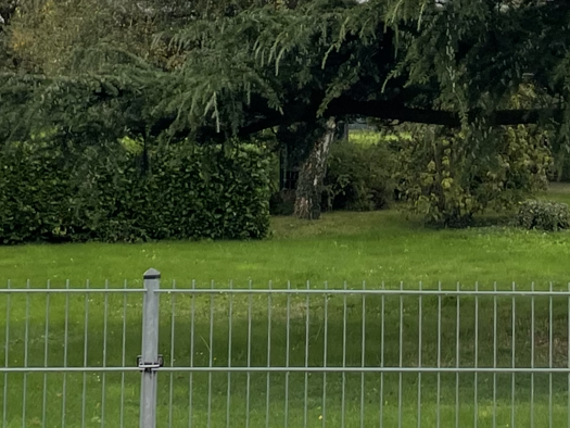 Grundstück zum Kauf provisionsfrei 240.000 € 1.000 m² Grundstück frei ab sofort Birgelen Wassenberg 41849