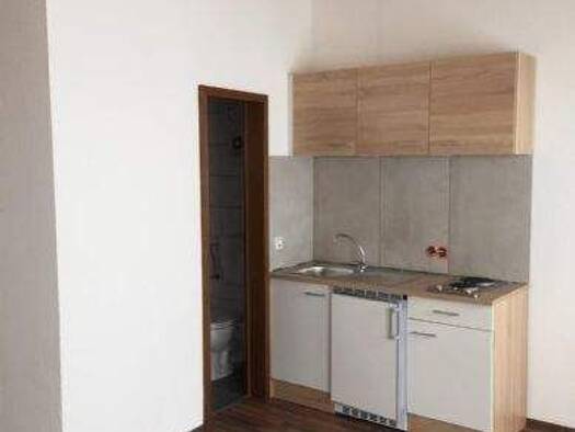 Studio zur Miete 380 € 1 Zimmer 17,8 m² EG Friedrich-Wilhelm-Straße 57 Trier-Süd Trier 54290