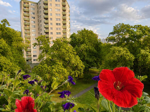 Wohnung zum Kauf 120.000 € 2 Zimmer 62 m² Tiergartenbreite Nordstadt 38448