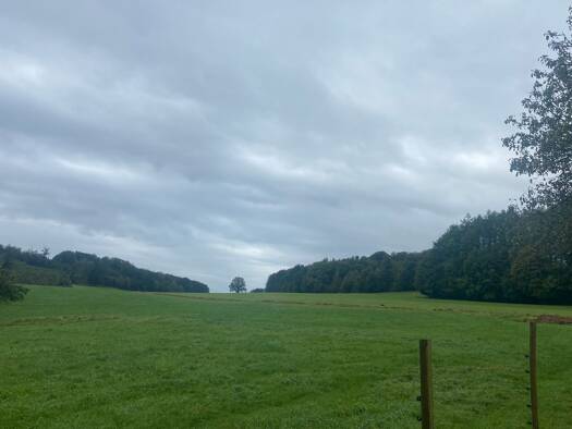 Grundstück zum Kauf provisionsfrei 275.000 € 90.000 m² Grundstück Gogarten Marienheide 51709