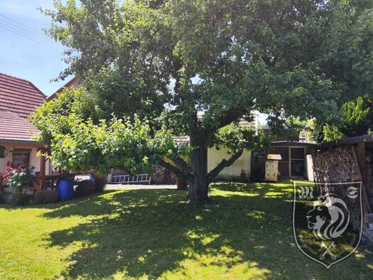 Einfamilienhaus zum Kauf 260.000 € 3,5 Zimmer 78 m² 495 m² Grundstück frei ab sofort Herbrechtingen 89542