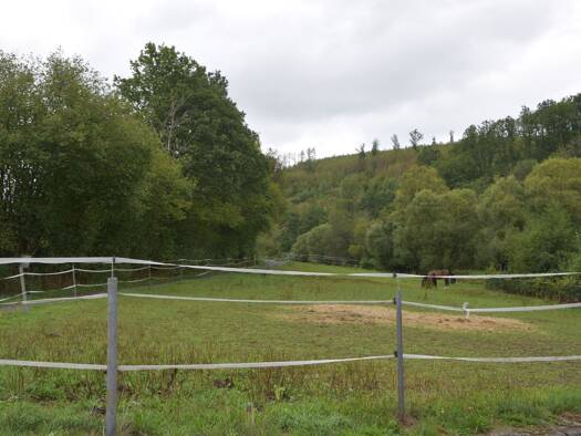 Bauernhaus zum Kauf 449.990 € 11 Zimmer 252 m² 15.938 m² Grundstück frei ab sofort Frohnhausen Netphen 57250