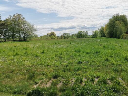 Grundstück zum Kauf 171.000 € 900 m² Grundstück Zarrendorf 18510