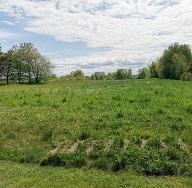 Grundstück zum Kauf 171.000 € 900 m² Grundstück Zarrendorf 18510