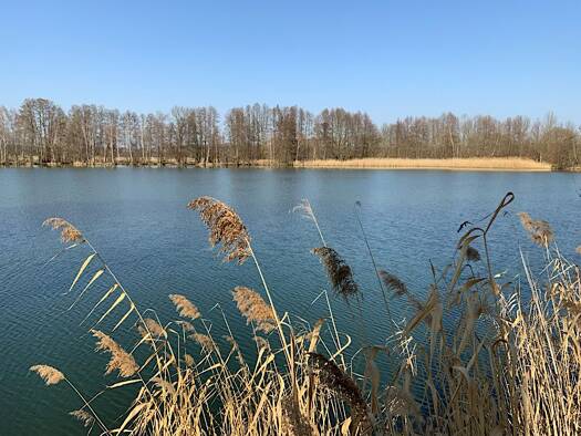 Bungalow zum Kauf 4.980 € 1 Zimmer 16 m² 294 m² Grundstück frei ab sofort NEG Am Horstberg 1 Waltersdorf Heideblick 15926