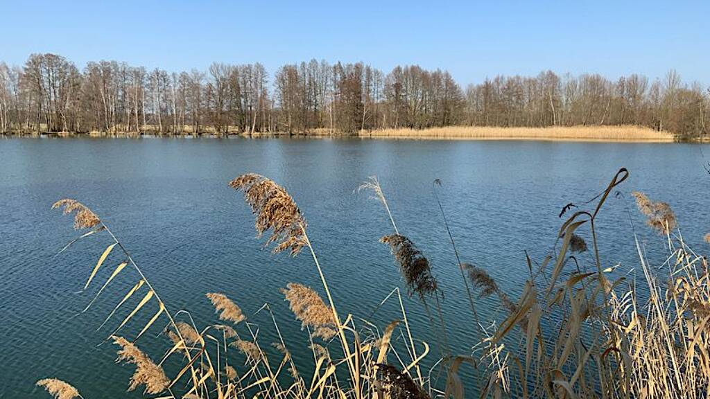 Bungalow zum Kauf 3.995 € 1 Zimmer 16 m² 294 m² Grundstück frei ab sofort NEG Am Horstberg 1 Waltersdorf Heideblick 15926