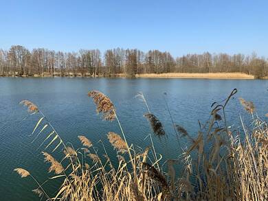Bungalow zum Kauf 5.980 € 1 Zimmer 16 m² 294 m² Grundstück frei ab sofort NEG Am Horstberg 1 Waltersdorf Heideblick 15926