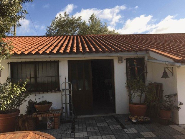 Einfamilienhaus zum Kauf 210.500 € 5 Zimmer 170 m²<br/>Wohnfläche 1.200 m²<br/>Grundstück Pedrogao de Aire / T.N Santarem 2350-238