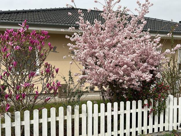 Bungalow zum Kauf provisionsfrei 399.000 € 3 Zimmer 118 m² 700 m² Grundstück Zarrendorf 18510