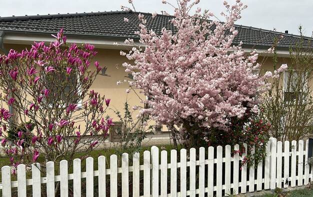 Bungalow zum Kauf provisionsfrei 399.000 € 3 Zimmer 118 m² 700 m² Grundstück Zarrendorf 18510