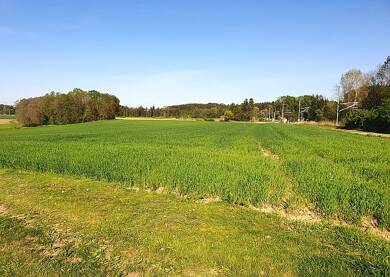 Landwirtschaftliche Fläche zum Kauf 320.000 € 37.352 m² Sontheim Sontheim 87776