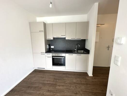 Wohnung zur Miete 378 € 2 Zimmer 39,1 m² 3. Geschoss frei ab 01.12.2026 Georgigasse 47 Eggenberg Graz 8020