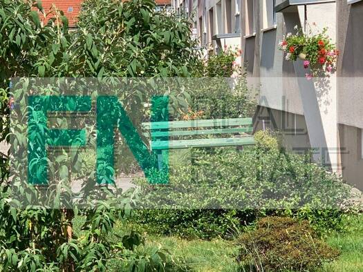 Wohnung zur Miete 300 € 2 Zimmer 49 m² 5. Geschoss Windmühlenweg 7 a Bad Düben Bad Düben 04849