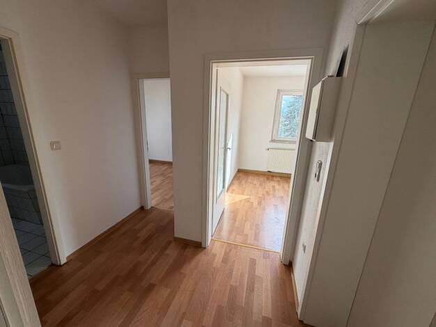 Wohnung zur Miete 315 € 2 Zimmer 52 m² 2. Geschoss Meßbacher Straße 70 Südvorstadt Plauen 08527