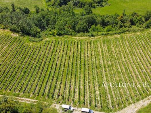 Haus zum Kauf 10.000.000 € 850.000 m² Grundstück Bucine 52021