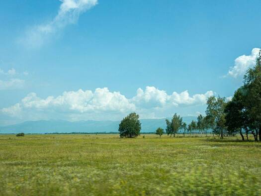 Grundstück zum Kauf 170.000 € 288 m² Grundstück Haltingen Weil am Rhein 79576