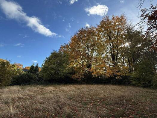 Grundstück zum Kauf 460.000 € 1.561 m² Grundstück Roetgen 52159