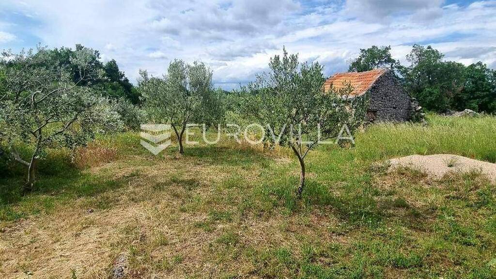 Land-/Forstwirtschaft zum Kauf 350.000 € Drnis Drnis 22320