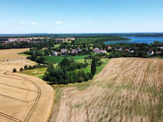 Grundstück zur Versteigerung 30.000 € 38.034 m² Grundstück Ramsdorf Regis-Breitingen 04565