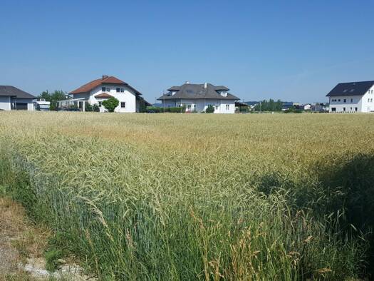 Grundstück zum Kauf 165.000 € 714 m² Grundstück Amstetten 3300