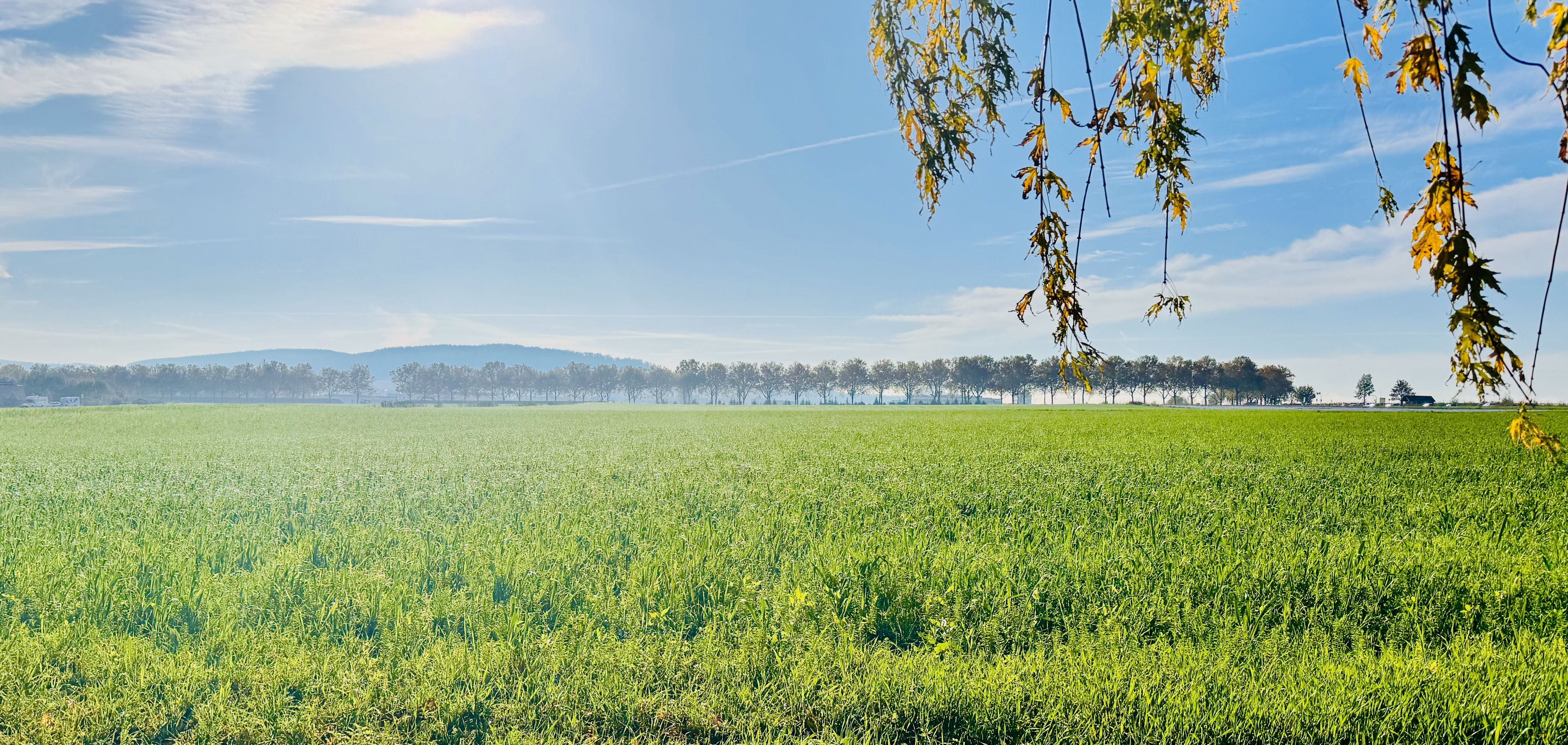 Bürofläche zur Miete 55 m²<br/>Bürofläche Schmiden Fellbach 70736