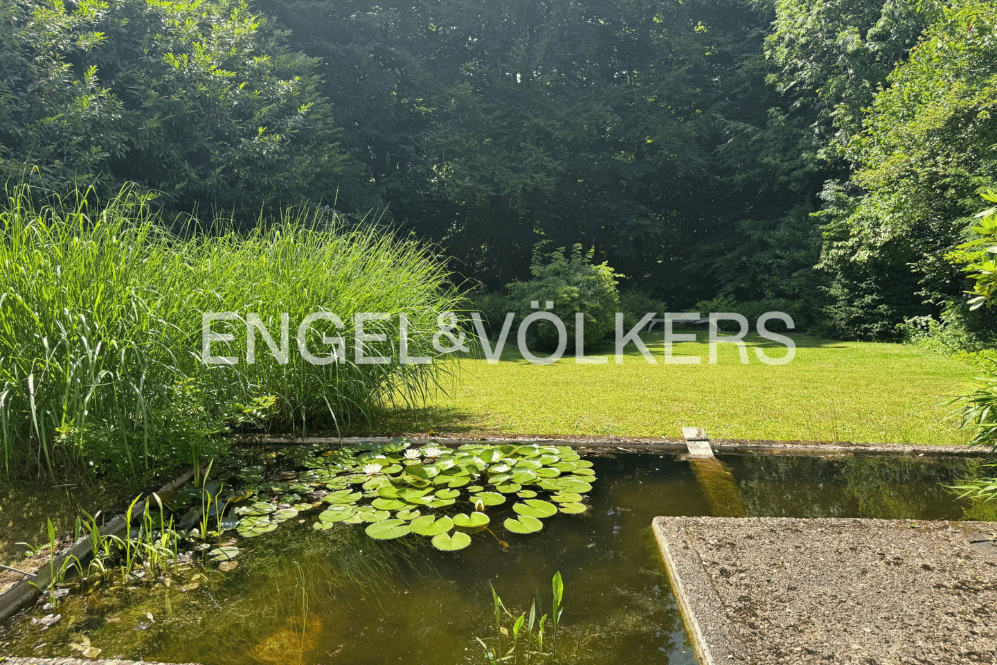 Einfamilienhaus zum Kauf - Ansicht 6