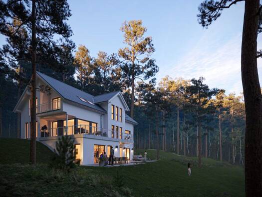 Mehrfamilienhaus zum Kauf 495.000 € 6 Zimmer 215 m² 1.100 m² Grundstück Helpsen 31691