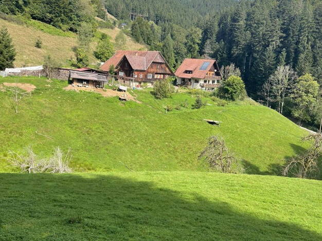 Bauernhaus zum Kauf provisionsfrei 870.000 € 8 Zimmer 200 m² 38.000 m² Grundstück Walke Oberwolfach Walke 77709