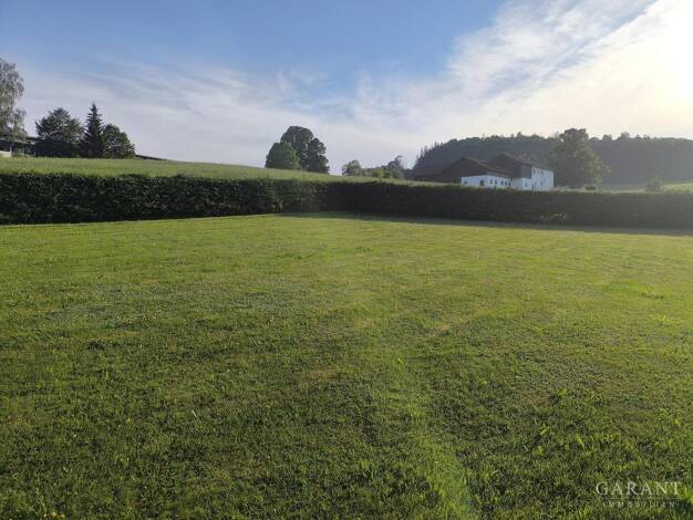 Grundstück zum Kauf 152.000 € 1.539 m² Grundstück Schönberghäuser Breitenberg 94139