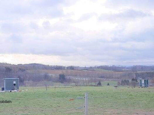 Einfamilienhaus zum Kauf 105.000 € 940 m² Grundstück frei ab sofort Reißig Plauen 08525