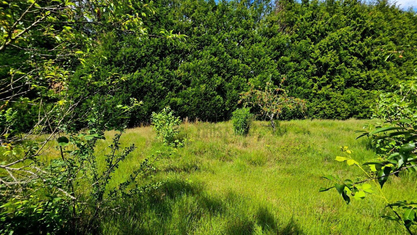 Land-/Forstwirtschaft zum Kauf - Widok 6