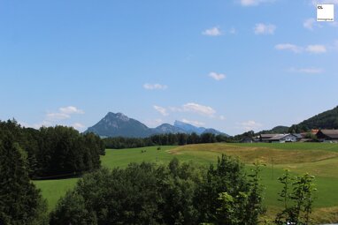 Maisonette zum Kauf provisionsfrei 3 Zimmer frei ab 30.06.2025 Hof bei Salzburg 5322