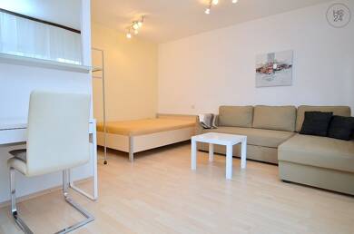 Wohnung zur Miete Wohnen auf Zeit 795 € 1 Zimmer 30 m² frei ab 01.08.2025 Veilhof Nürnberg 90489