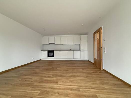 Wohnung zur Miete 913 € 2 Zimmer 51 m² EG Bregenz 6900