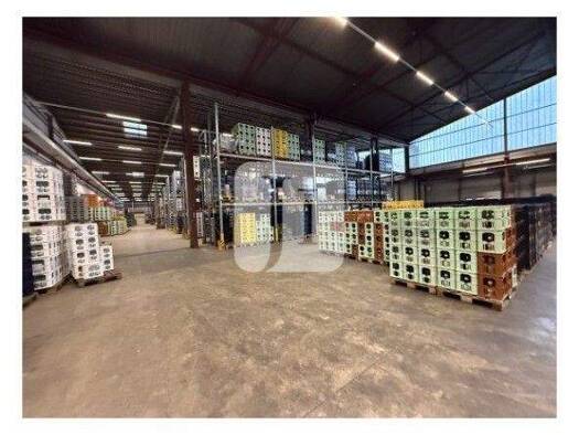 Lagerhalle zur Miete 5.576 m² Lagerfläche teilbar ab 2.771 m² Billstedt Hamburg 22113