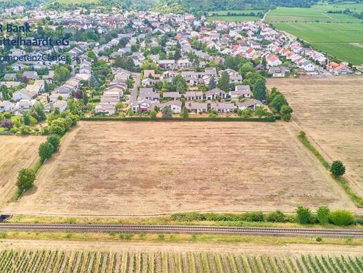 Grundstück zum Kauf 349.965 € 505 m² Grundstück Am Schwabenbach 54 Wachenheim an der Weinstraße 67157
