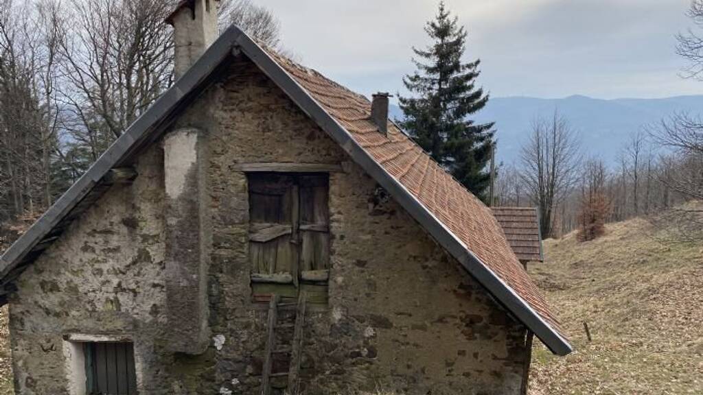 Rustico zum Kauf 79.000 € 5 Zimmer 80 m² 10.000 m² Grundstück frei ab sofort Urbe 17048