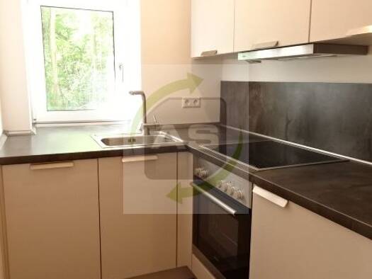 Wohnung zur Miete 260 € 1 Zimmer 30,7 m² EG frei ab 01.12.2026 Trillerstraße 7 Eckersbach Zwickau 08066