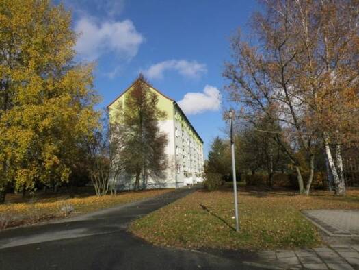 Wohnung zur Miete 325 € 3 Zimmer 54,2 m² 4. Geschoss frei ab sofort John-Schehr-Straße 51 Lauta Lauta 02991