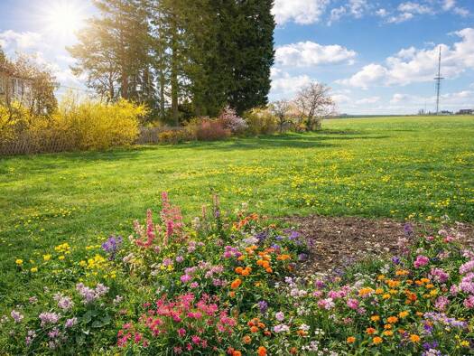 Grundstück zum Kauf 610 m² Grundstück frei ab sofort Richterweg Reichenhain Chemnitz 09125