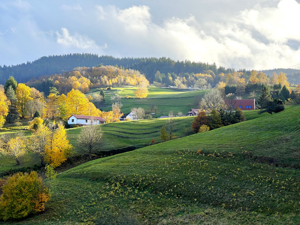 Mehrfamilienhaus zum Kauf 630.000 € 11 Zimmer 255 m²<br/>Wohnfläche 2.538 m²<br/>Grundstück Bühlertal 77830