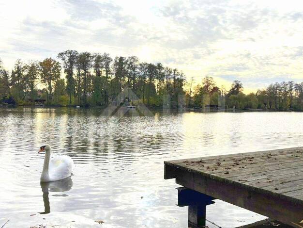 Einfamilienhaus zum Kauf 690.000 € 6 Zimmer 201,8 m² 1.490 m² Grundstück Machern 04827