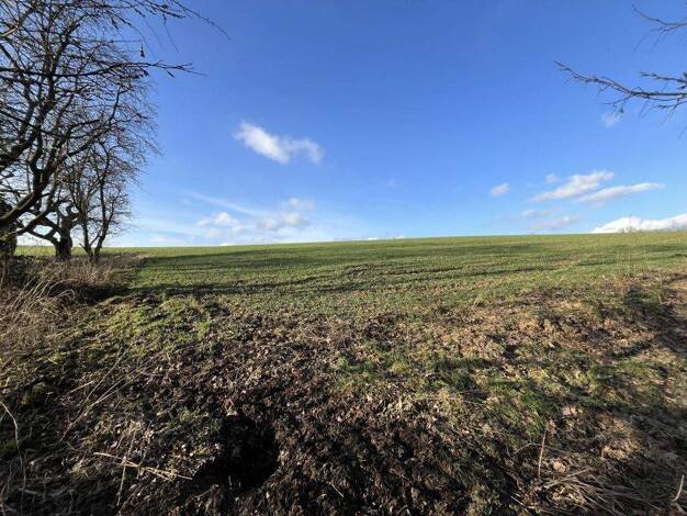 Freizeitgrundstück zum Kauf 51.000 € 6.795 m² Grundstück Bösingfeld Extertal-Bösingfeld 32699